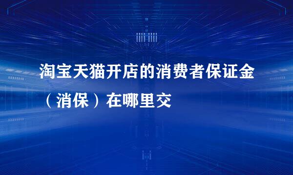 淘宝天猫开店的消费者保证金（消保）在哪里交
