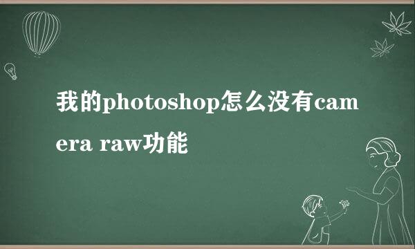 我的photoshop怎么没有camera raw功能