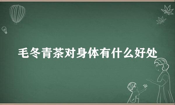 毛冬青茶对身体有什么好处