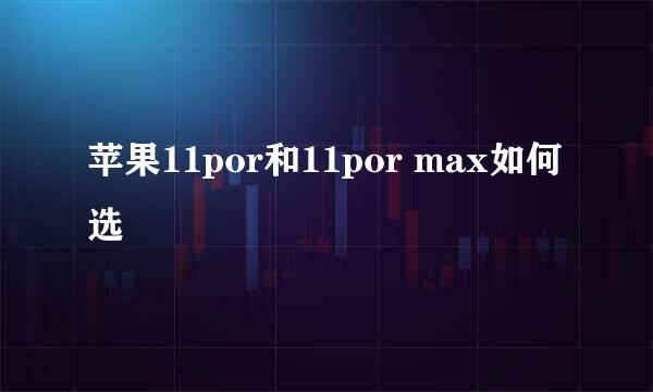苹果11por和11por max如何选