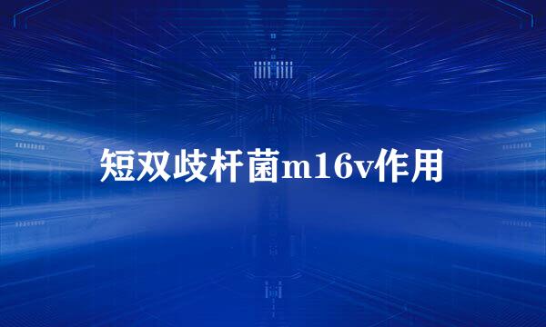 短双歧杆菌m16v作用