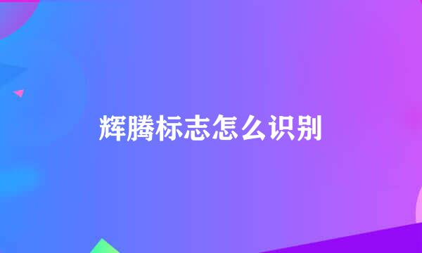 辉腾标志怎么识别