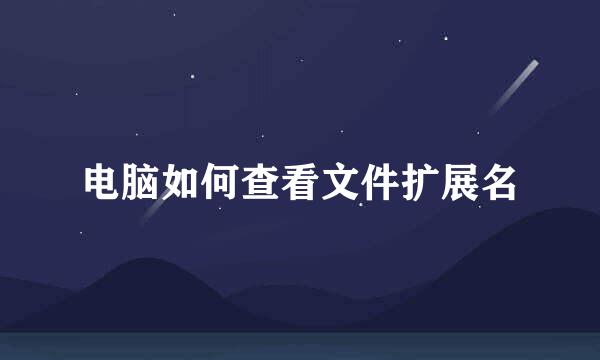 电脑如何查看文件扩展名