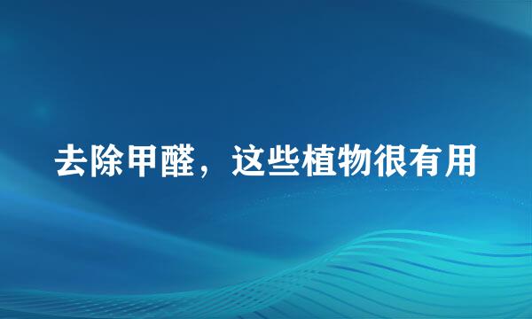 去除甲醛，这些植物很有用