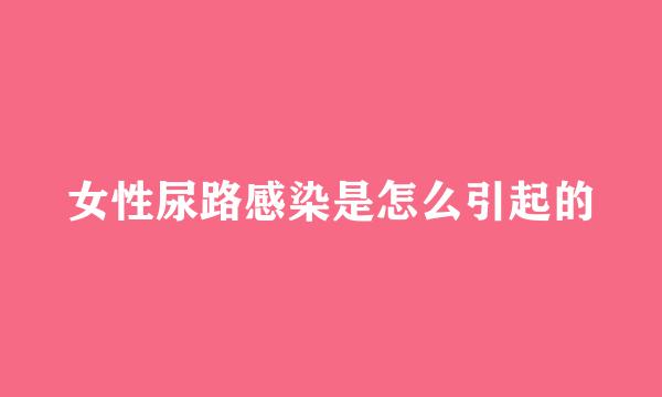 女性尿路感染是怎么引起的