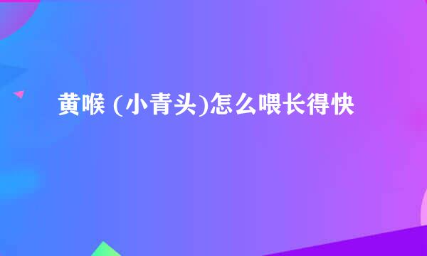 黄喉 (小青头)怎么喂长得快