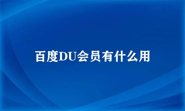 百度DU会员有什么用
