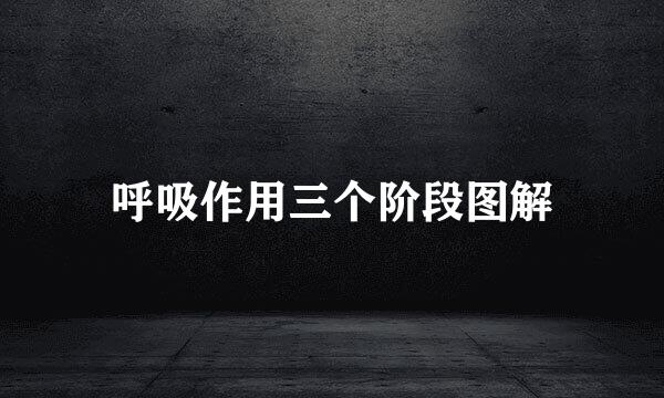 呼吸作用三个阶段图解
