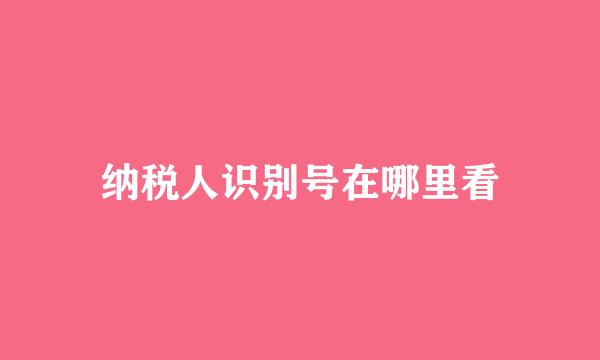 纳税人识别号在哪里看