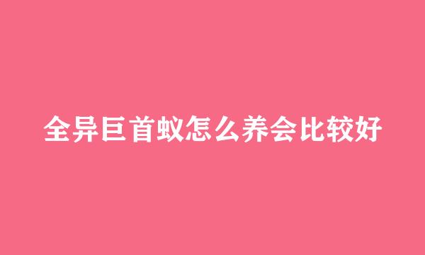全异巨首蚁怎么养会比较好