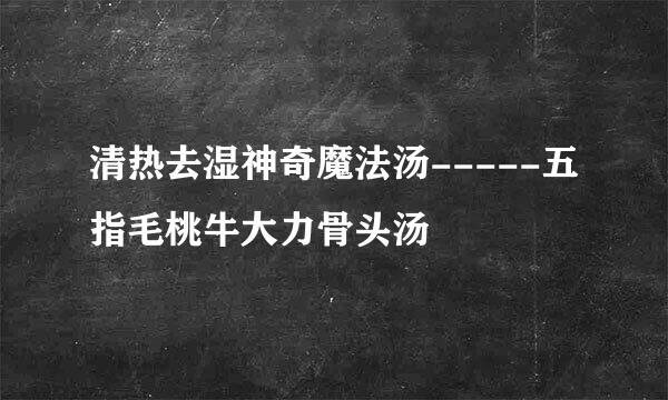 清热去湿神奇魔法汤-----五指毛桃牛大力骨头汤