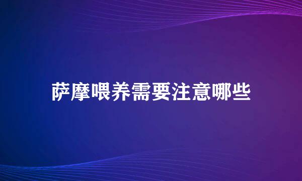 萨摩喂养需要注意哪些