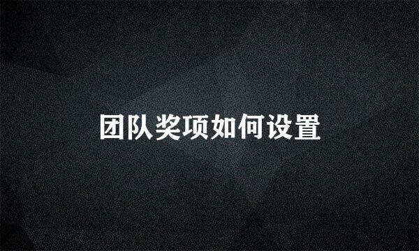 团队奖项如何设置