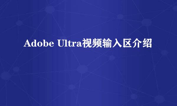 Adobe Ultra视频输入区介绍