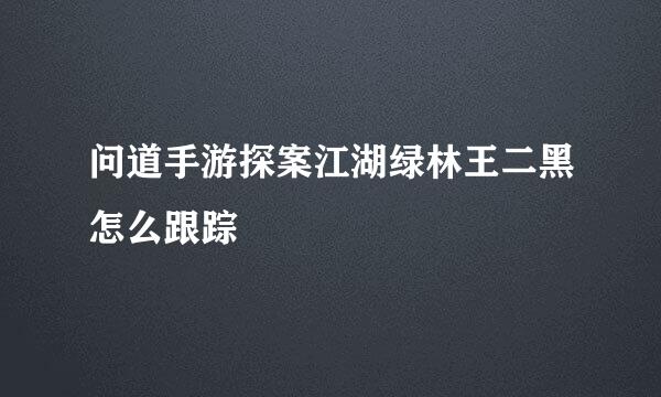 问道手游探案江湖绿林王二黑怎么跟踪