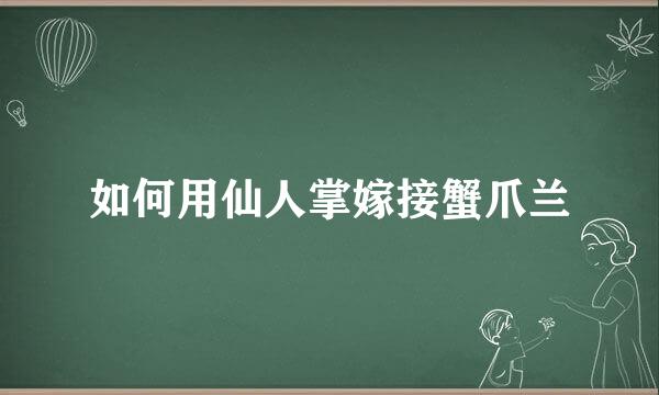 如何用仙人掌嫁接蟹爪兰