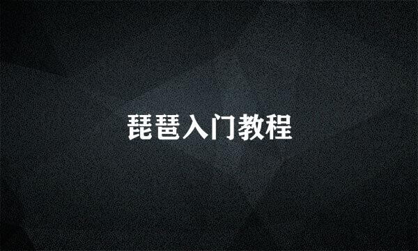 琵琶入门教程