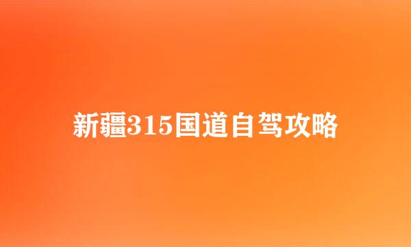 新疆315国道自驾攻略