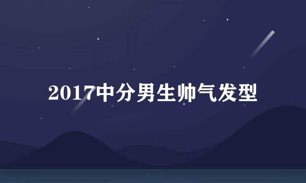 2017中分男生帅气发型