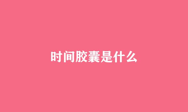 时间胶囊是什么