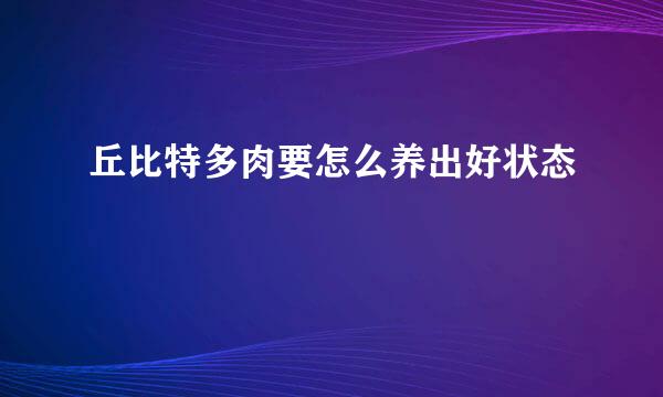 丘比特多肉要怎么养出好状态