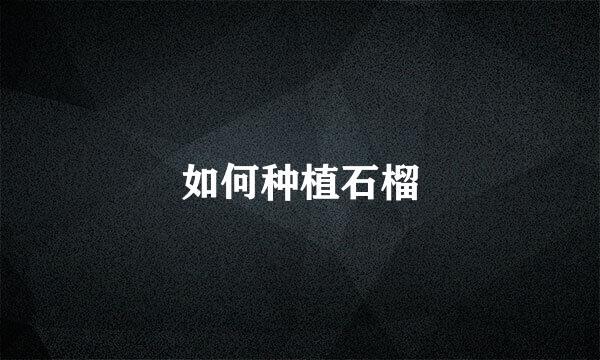 如何种植石榴