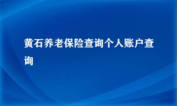 黄石养老保险查询个人账户查询
