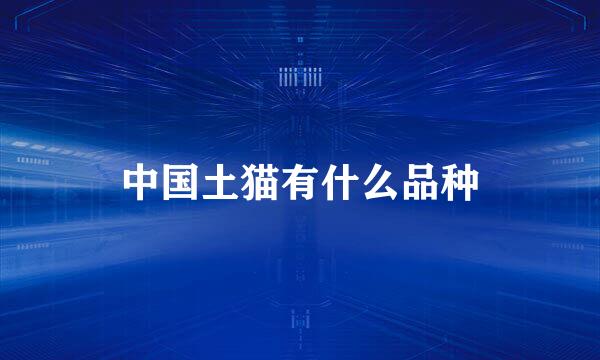 中国土猫有什么品种