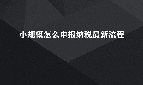 小规模怎么申报纳税最新流程