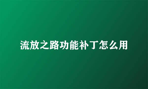 流放之路功能补丁怎么用