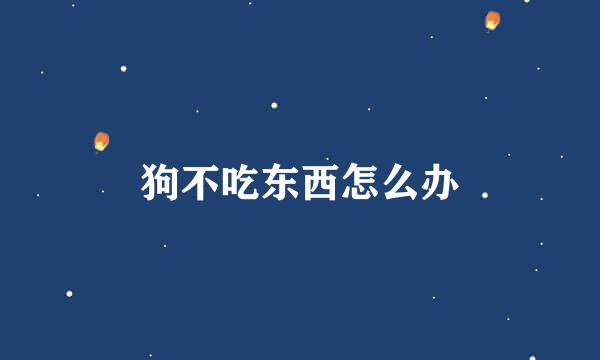 狗不吃东西怎么办