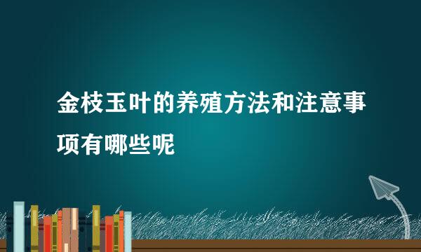 金枝玉叶的养殖方法和注意事项有哪些呢
