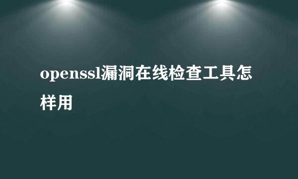 openssl漏洞在线检查工具怎样用
