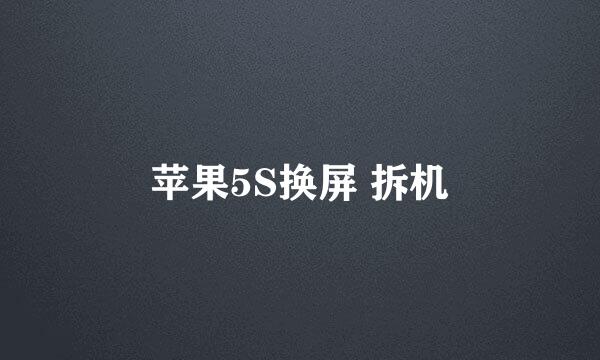 苹果5S换屏 拆机