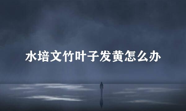 水培文竹叶子发黄怎么办
