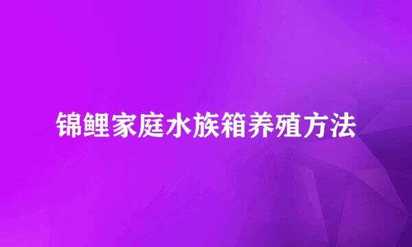 锦鲤家庭水族箱养殖方法