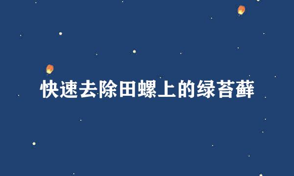 快速去除田螺上的绿苔藓