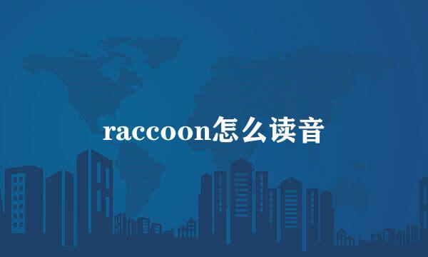 raccoon怎么读音