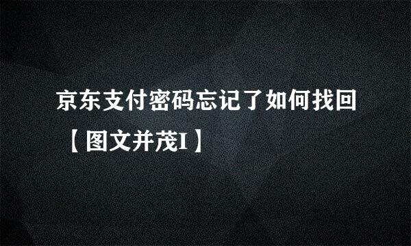 京东支付密码忘记了如何找回 【图文并茂I】