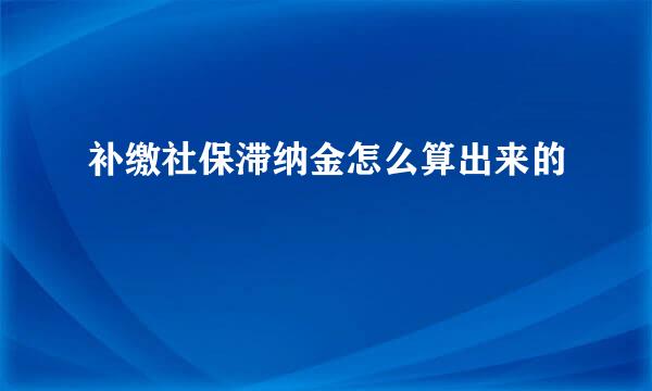 补缴社保滞纳金怎么算出来的