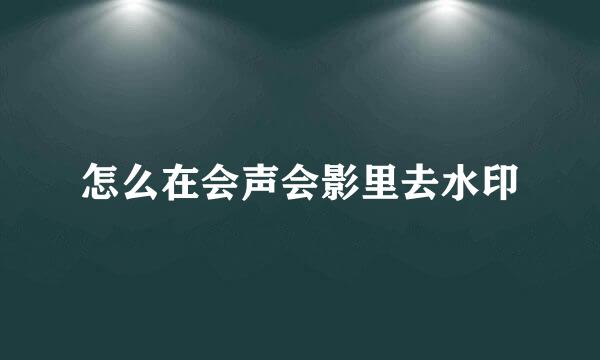 怎么在会声会影里去水印