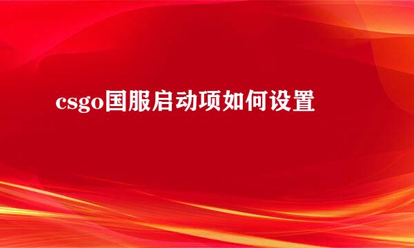 csgo国服启动项如何设置