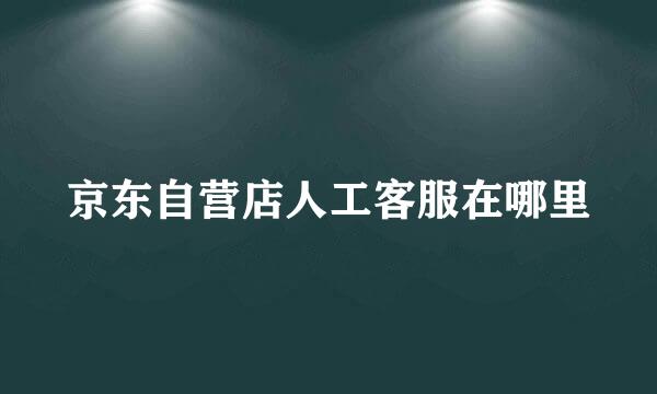 京东自营店人工客服在哪里