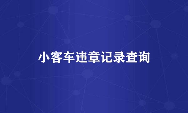 小客车违章记录查询