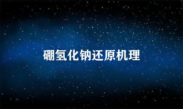 硼氢化钠还原机理