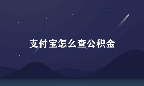 支付宝怎么查公积金