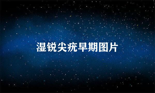 湿锐尖疣早期图片