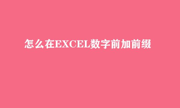 怎么在EXCEL数字前加前缀