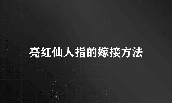 亮红仙人指的嫁接方法