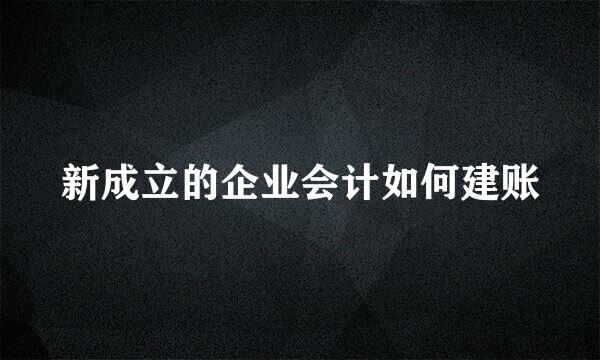 新成立的企业会计如何建账